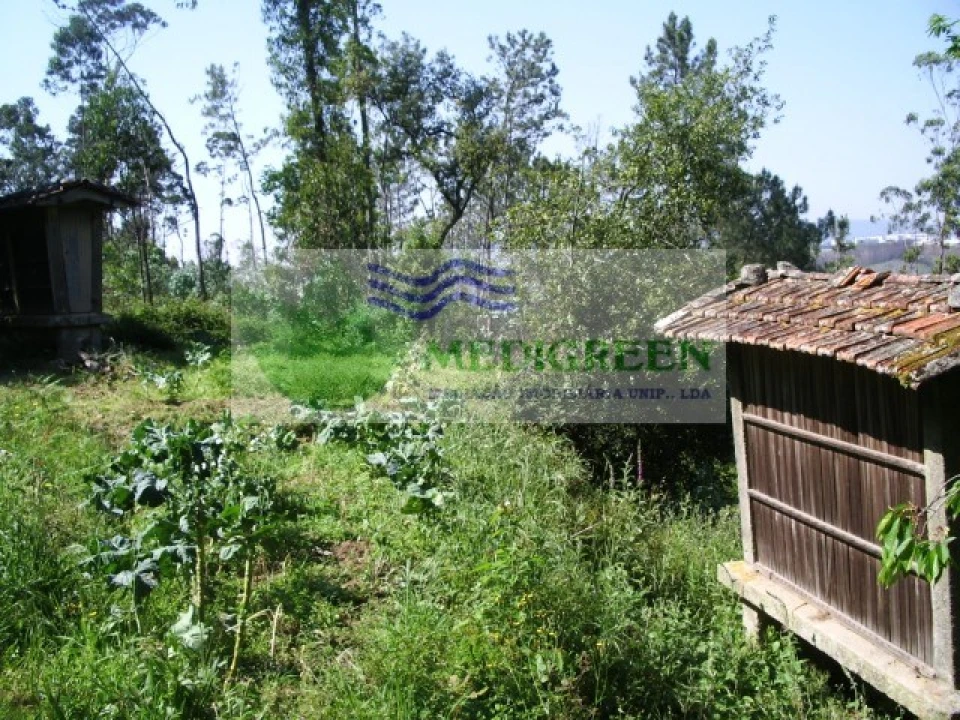 Quinta para Venda em Cedrim e Paradela Foto 3