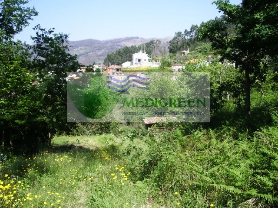 Quinta para Venda em Cedrim e Paradela Foto 5