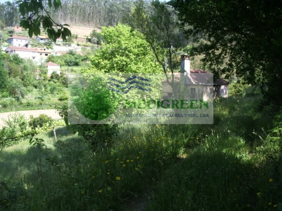 Quinta para Venda em Cedrim e Paradela Foto 8