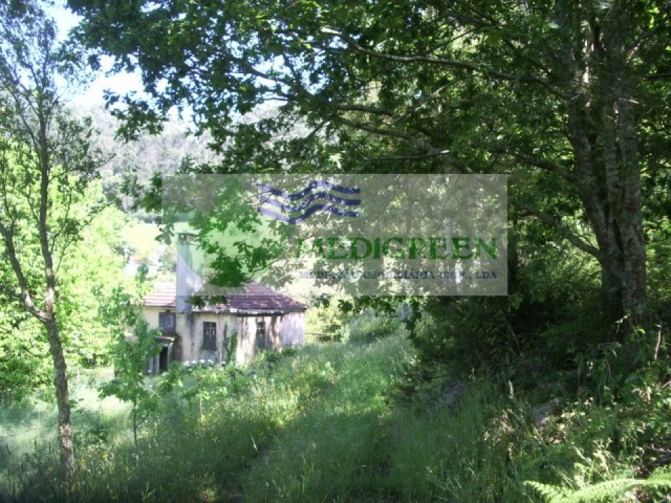 Quinta para Venda em Cedrim e Paradela Foto 9