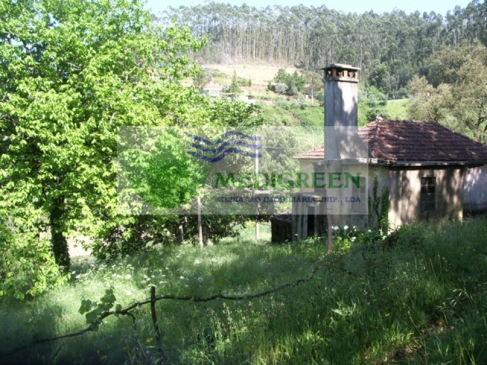 Quinta para Venda em Cedrim e Paradela Foto 11