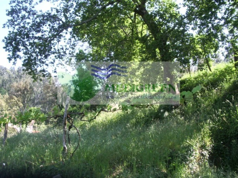 Quinta para Venda em Cedrim e Paradela Foto 12