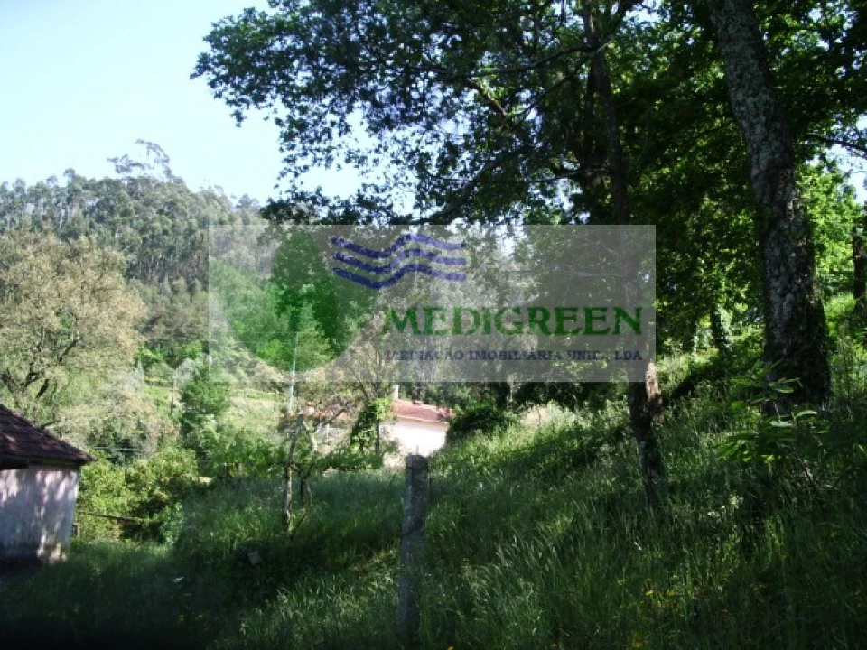 Quinta para Venda em Cedrim e Paradela Foto 13