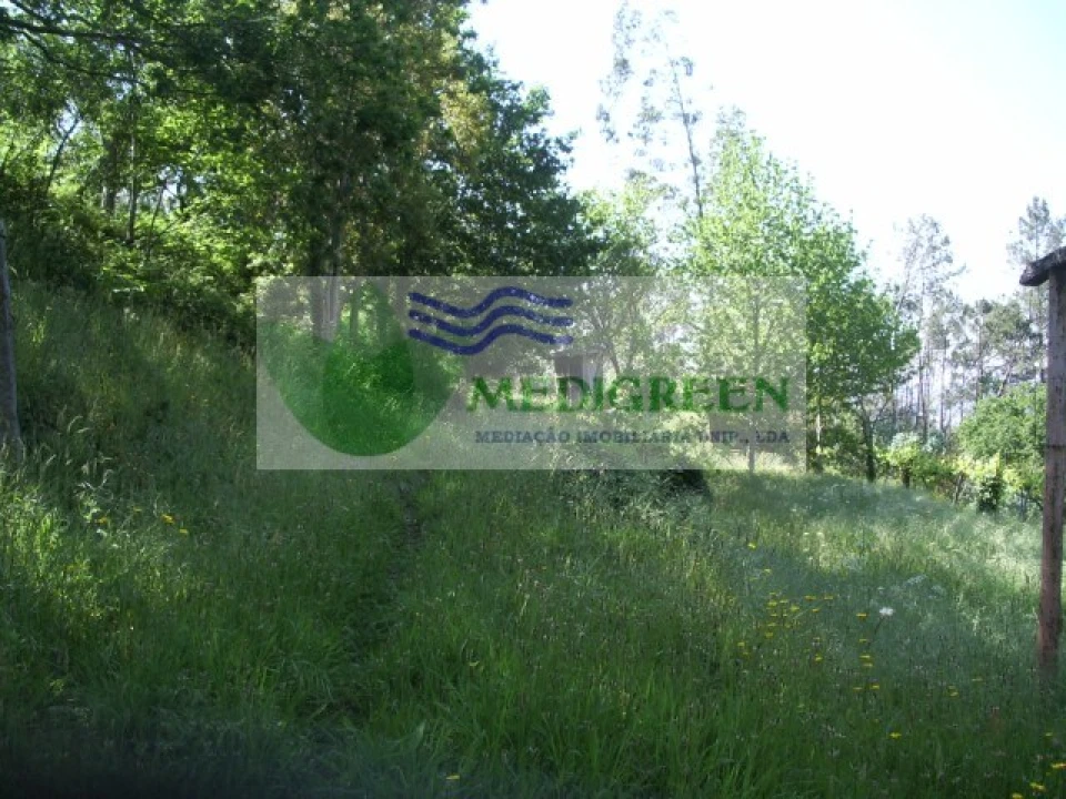 Quinta para Venda em Cedrim e Paradela Foto 15