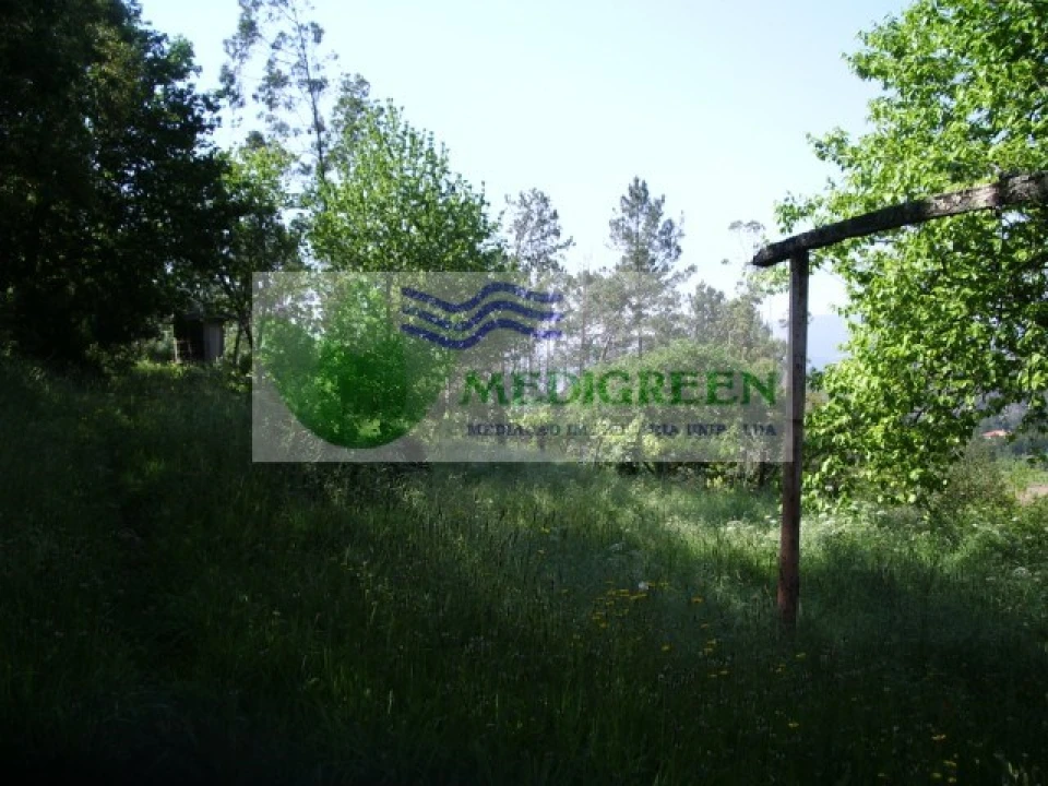 Quinta para Venda em Cedrim e Paradela Foto 16