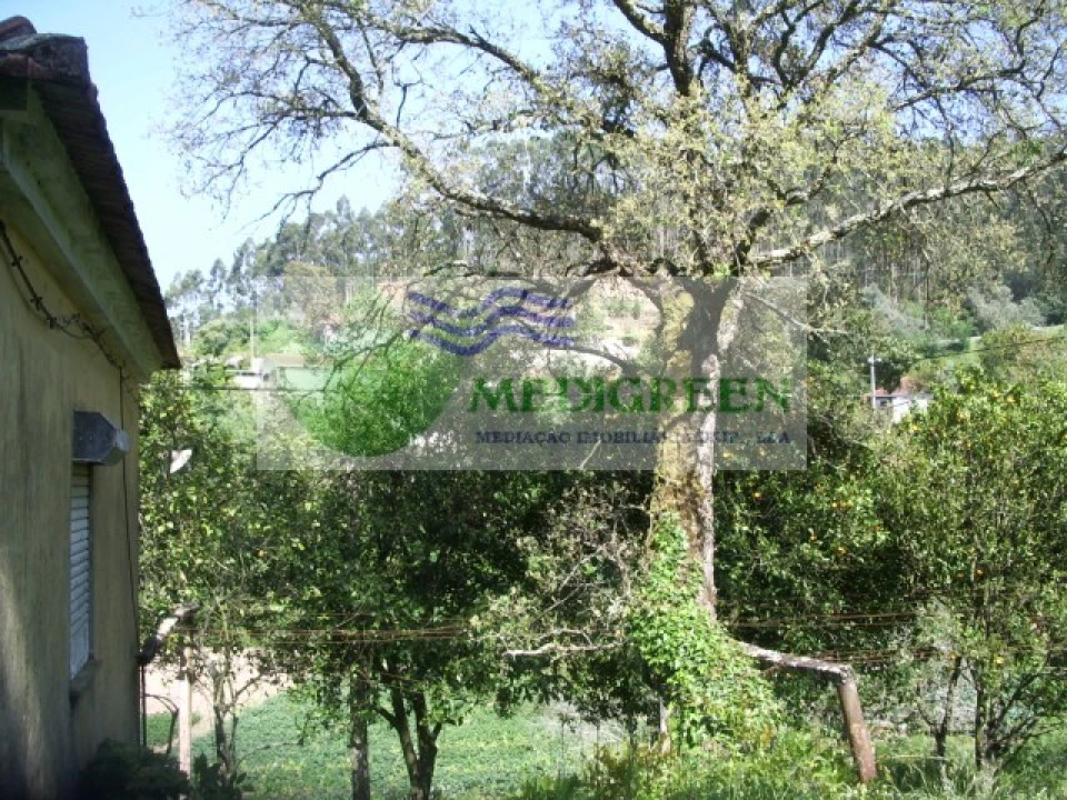 Quinta para Venda em Cedrim e Paradela Foto 17