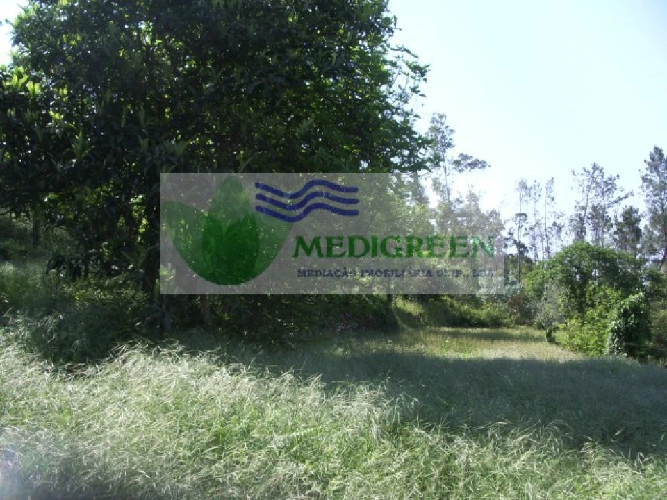 Quinta para Venda em Cedrim e Paradela Foto 22