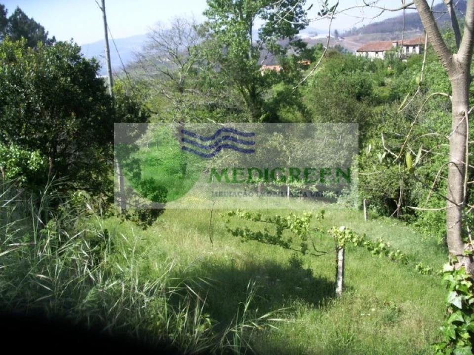 Quinta para Venda em Cedrim e Paradela Foto 24