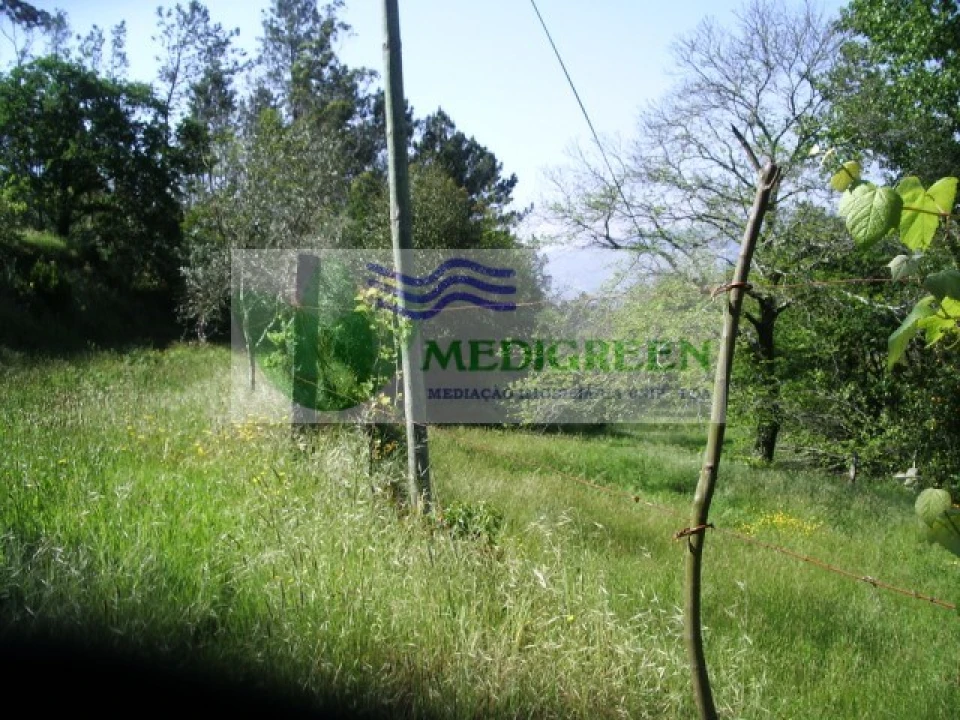 Quinta para Venda em Cedrim e Paradela Foto 26