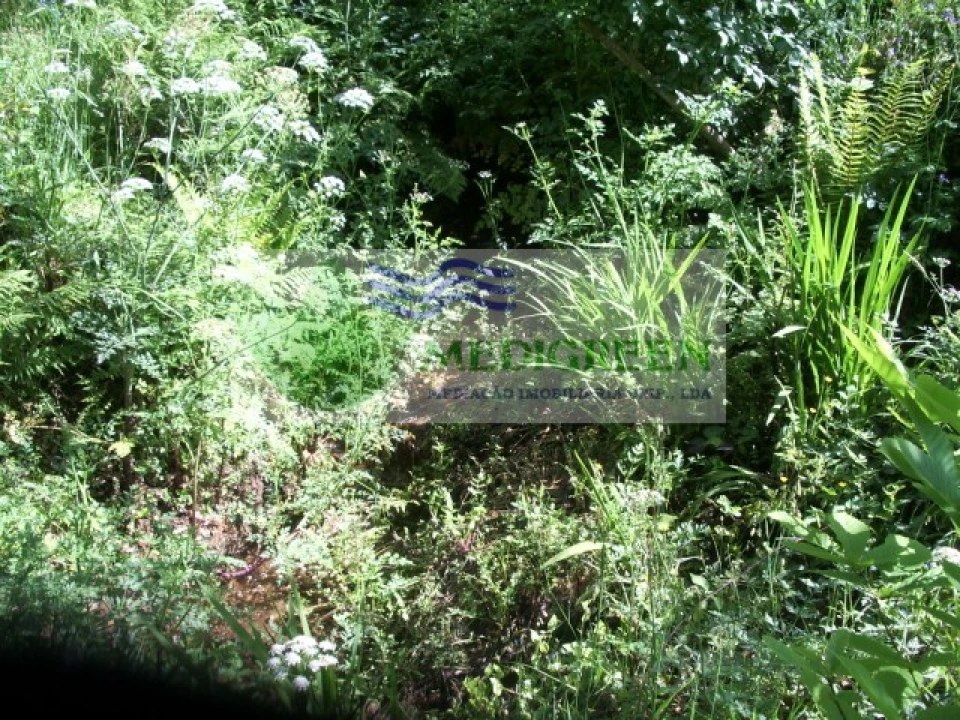 Quinta para Venda em Cedrim e Paradela Foto 29