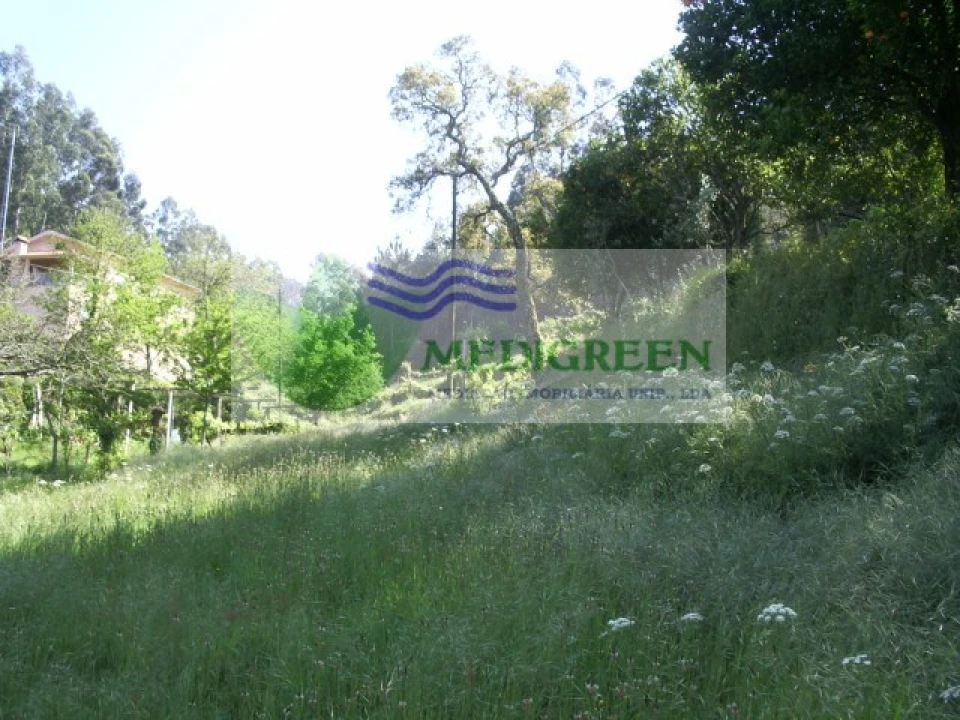 Quinta para Venda em Cedrim e Paradela Foto 39