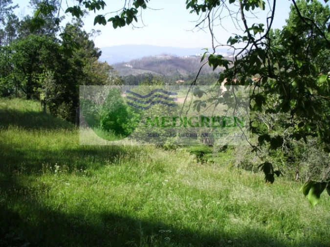 Quinta para Venda em Cedrim e Paradela Foto 4