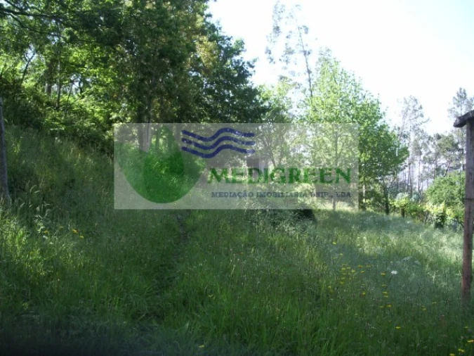 Quinta para Venda em Cedrim e Paradela Foto 15