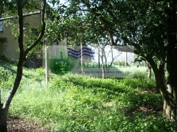 Quinta para Venda em Cedrim e Paradela Foto 19