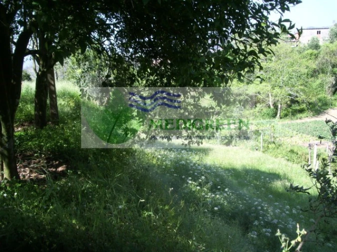 Quinta para Venda em Cedrim e Paradela Foto 20