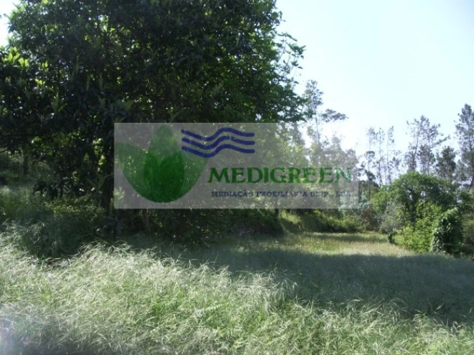 Quinta para Venda em Cedrim e Paradela Foto 22