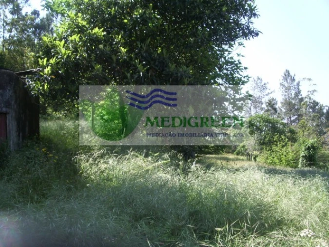 Quinta para Venda em Cedrim e Paradela Foto 23