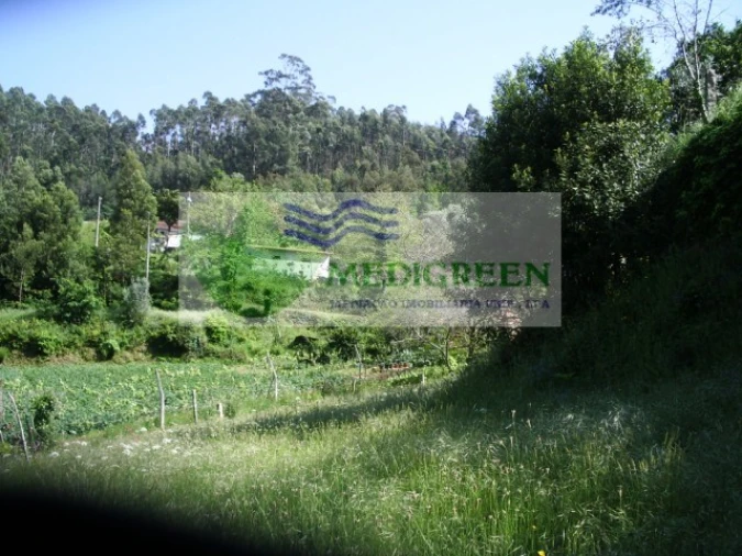 Quinta para Venda em Cedrim e Paradela Foto 25