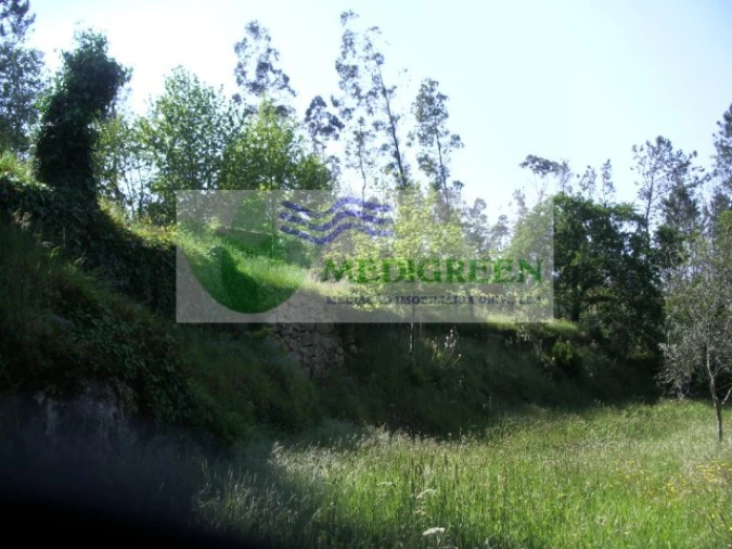 Quinta para Venda em Cedrim e Paradela Foto 27