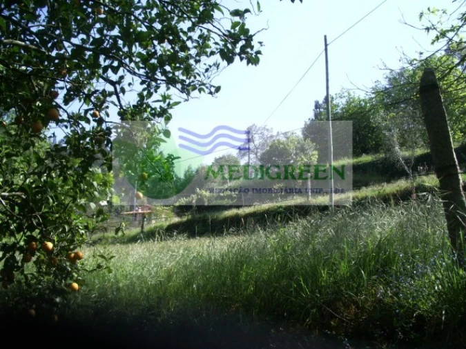 Quinta para Venda em Cedrim e Paradela Foto 30