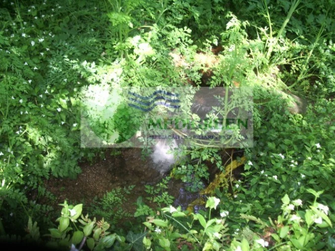 Quinta para Venda em Cedrim e Paradela Foto 31