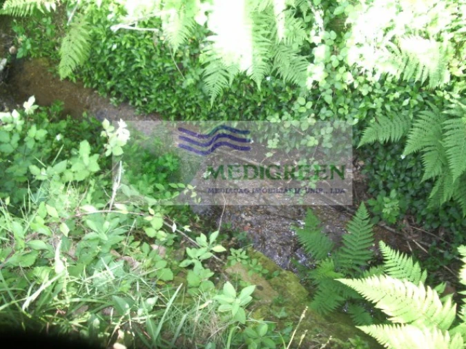 Quinta para Venda em Cedrim e Paradela Foto 32