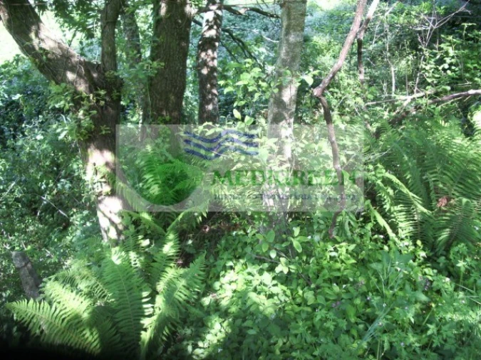 Quinta para Venda em Cedrim e Paradela Foto 33