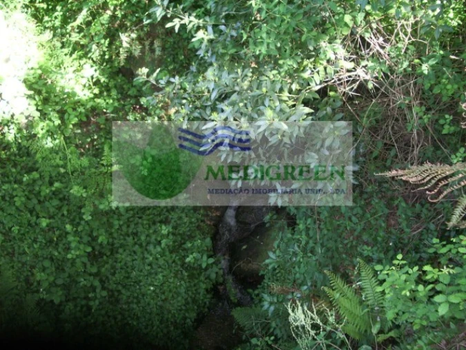 Quinta para Venda em Cedrim e Paradela Foto 34