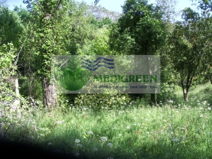 Quinta para Venda em Cedrim e Paradela Foto 36