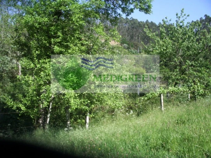 Quinta para Venda em Cedrim e Paradela Foto 38