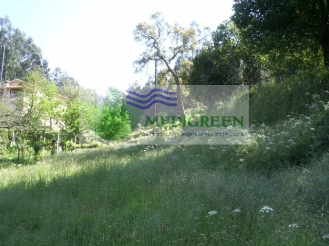 Quinta para Venda em Cedrim e Paradela Foto 39