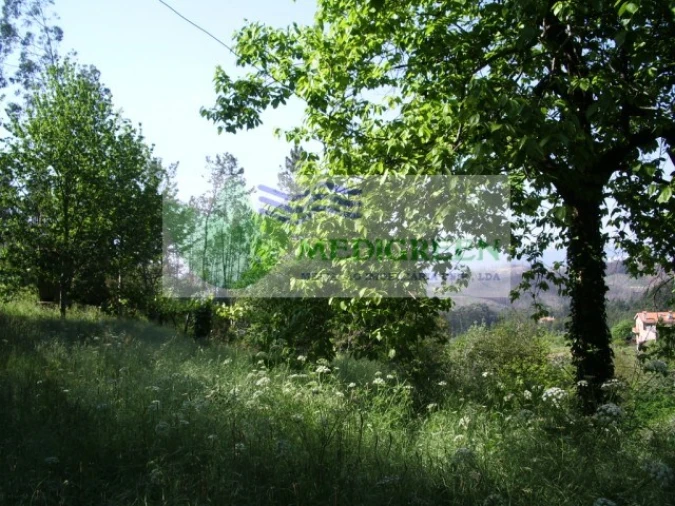 Quinta para Venda em Cedrim e Paradela Foto 40