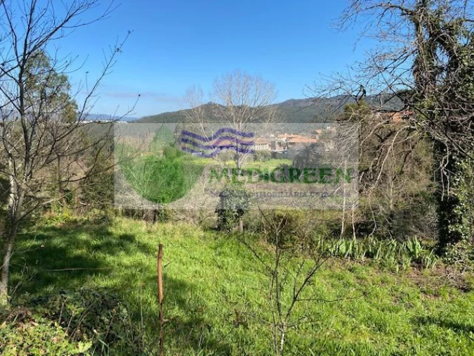 Quinta para Venda em Cedrim e Paradela Foto 1