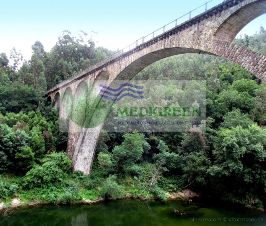 Terreno para Venda em Pessegueiro do Vouga Foto 3