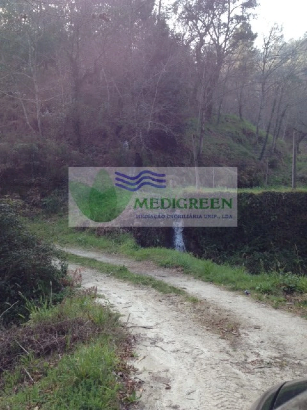 Quinta para Venda em Couto de Esteves Foto 11