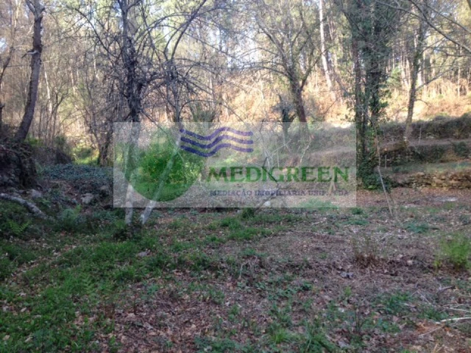 Quinta para Venda em Couto de Esteves Foto 3