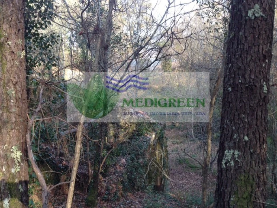 Quinta para Venda em Couto de Esteves Foto 5