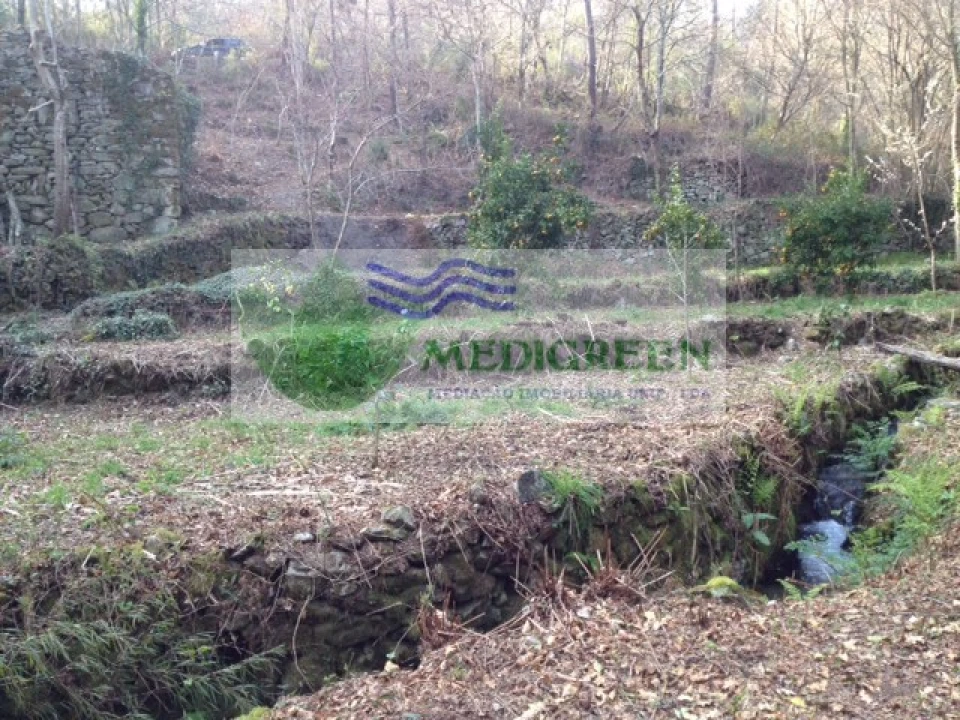 Quinta para Venda em Couto de Esteves Foto 2