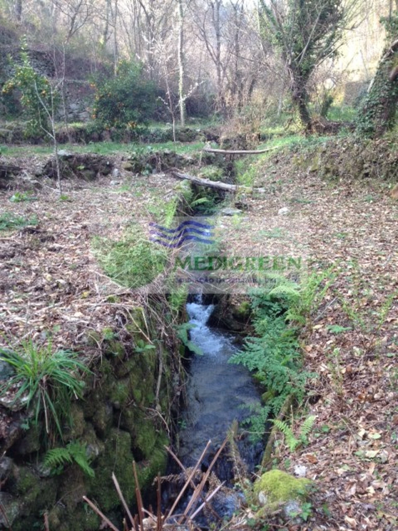 Quinta para Venda em Couto de Esteves Foto 1