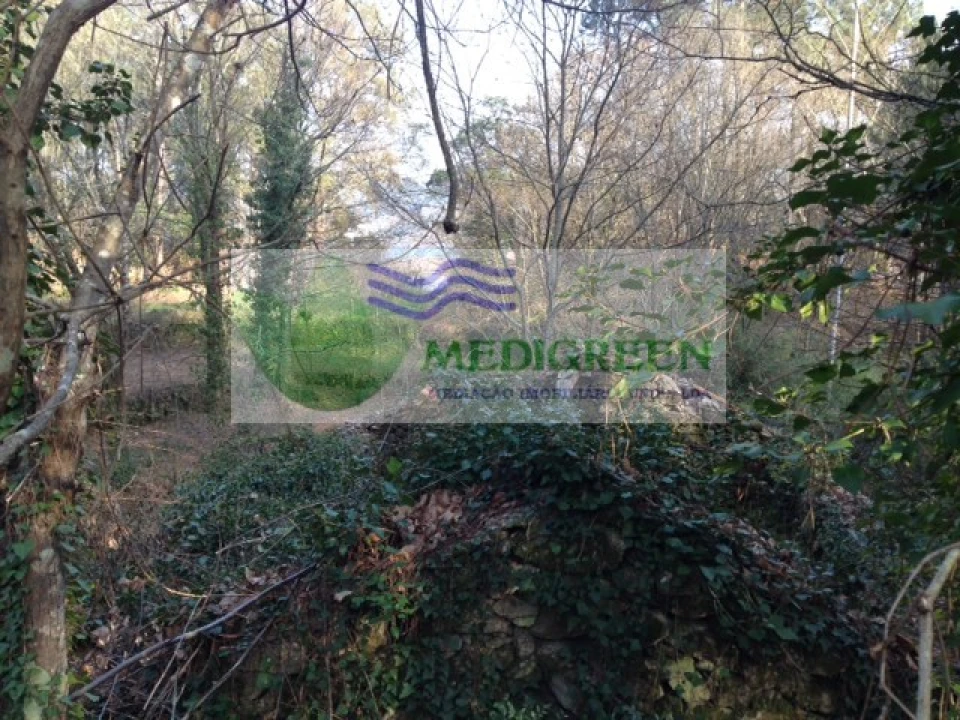 Quinta para Venda em Couto de Esteves Foto 7