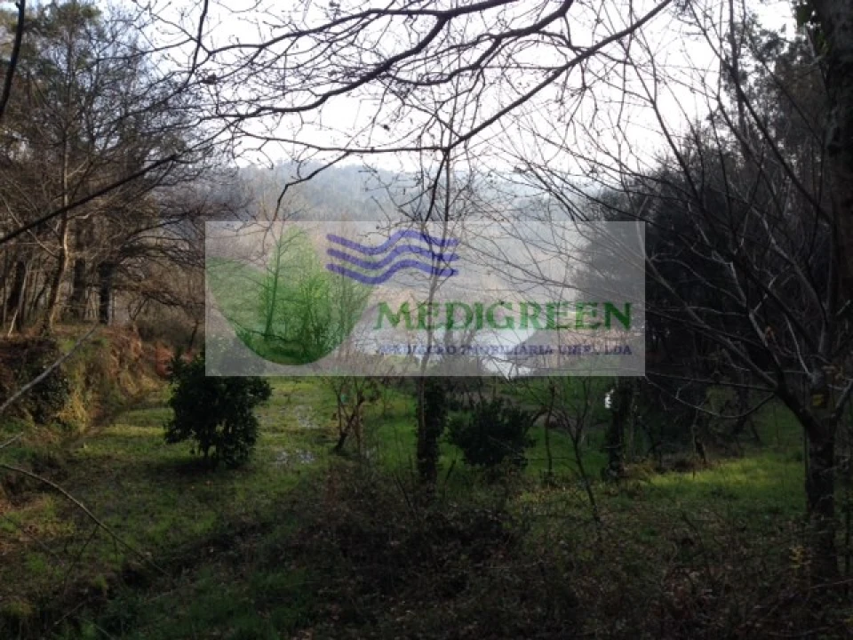 Quinta para Venda em Couto de Esteves Foto 8