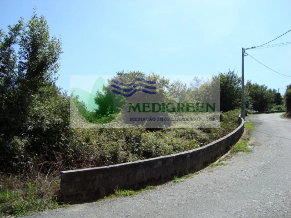 Terreno para Venda em Pessegueiro do Vouga Foto 3