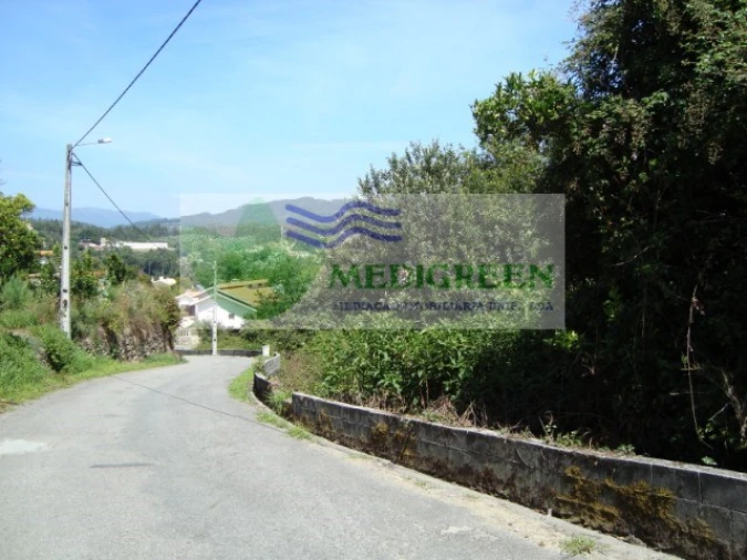 Terreno para Venda em Pessegueiro do Vouga Foto 4
