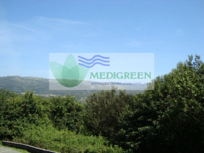 Terreno para Venda em Pessegueiro do Vouga Foto 5