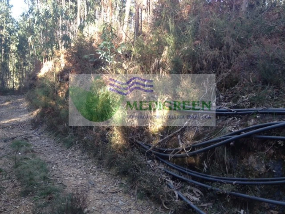 Terreno para Venda em Pessegueiro do Vouga Foto 4