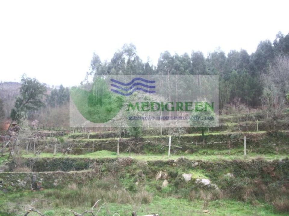 Quinta para Venda em Cedrim e Paradela Foto 3