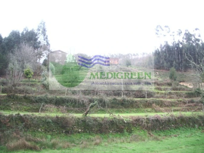 Quinta para Venda em Cedrim e Paradela Foto 2