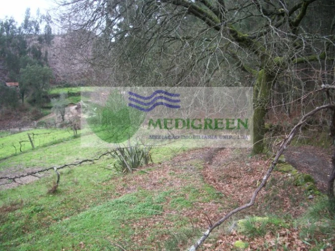 Quinta para Venda em Cedrim e Paradela Foto 5