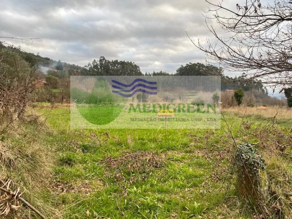 Terreno para Venda em Silva Escura e Dornelas Foto 2