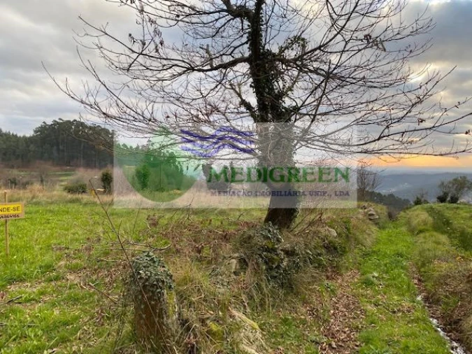 Terreno para Venda em Silva Escura e Dornelas